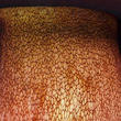 hřib rudonachový (Imperator rhodopurpureus)